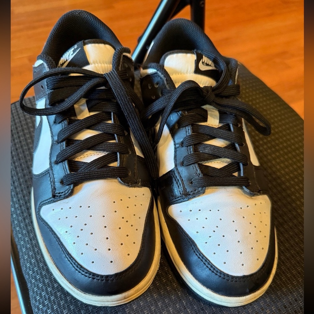 Nike Classic Panda Dunks